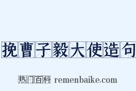 挽曹子毅大使造句是什么意思的图片